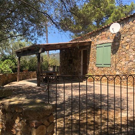 Maison De Campagne Sarragia Kültér fotó