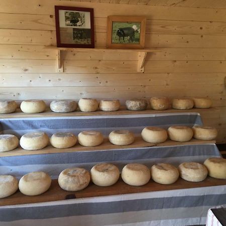 Maison De Campagne Sarragia Kültér fotó