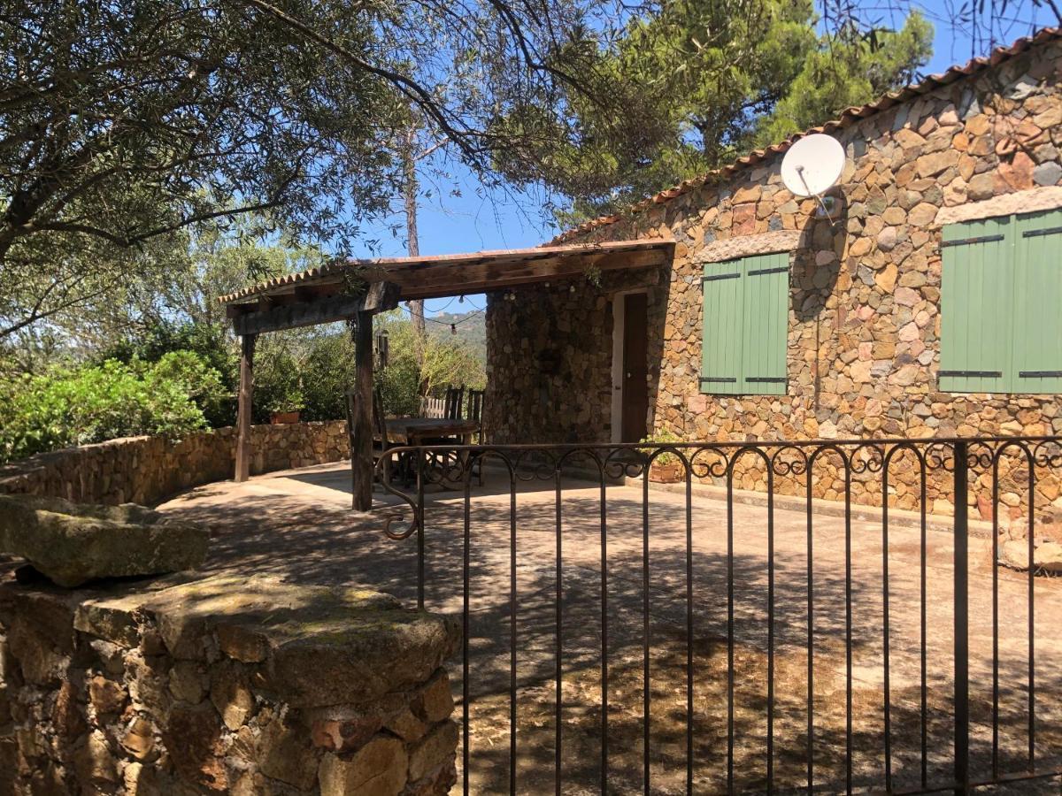 Maison De Campagne Sarragia Kültér fotó