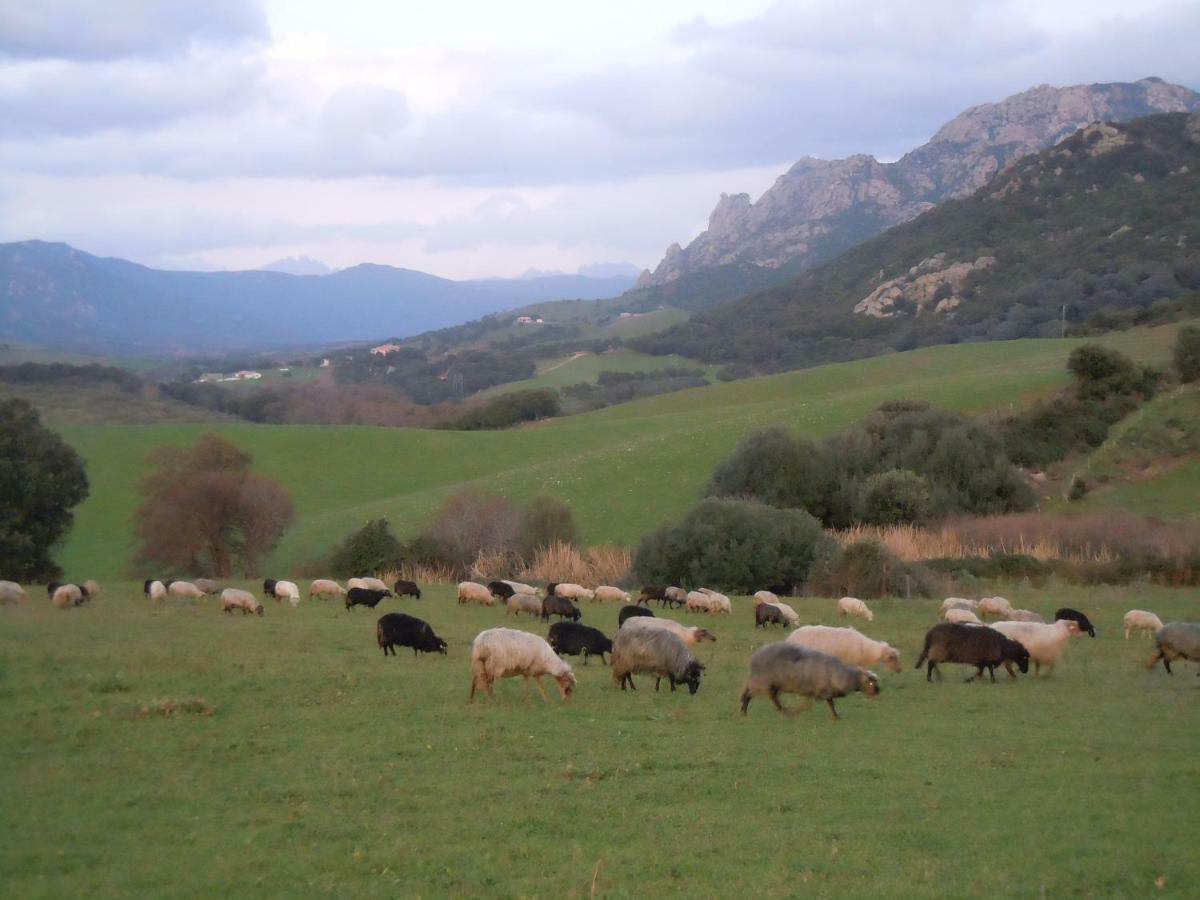Maison De Campagne Sarragia Kültér fotó