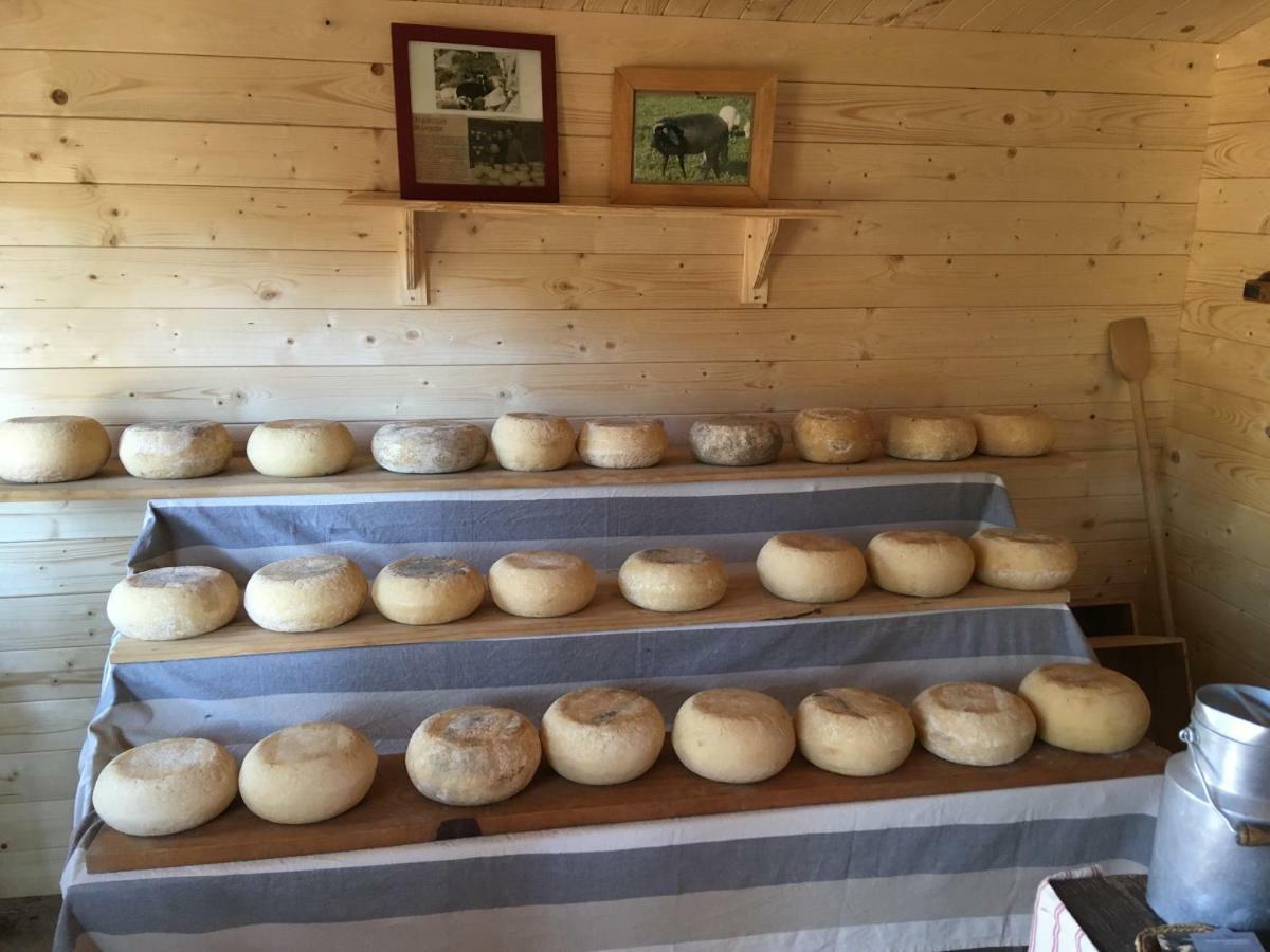 Maison De Campagne Sarragia Kültér fotó